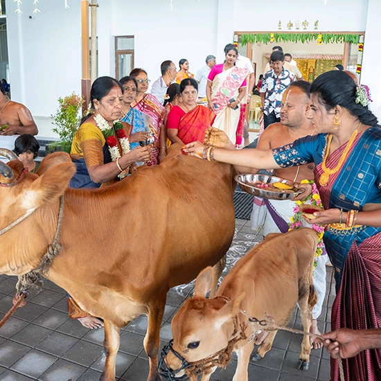 Wide variety of traditional food items served fresh during weddings and special family events